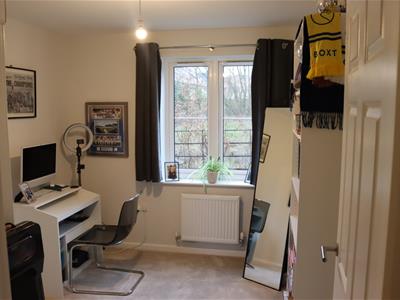 Picture 10